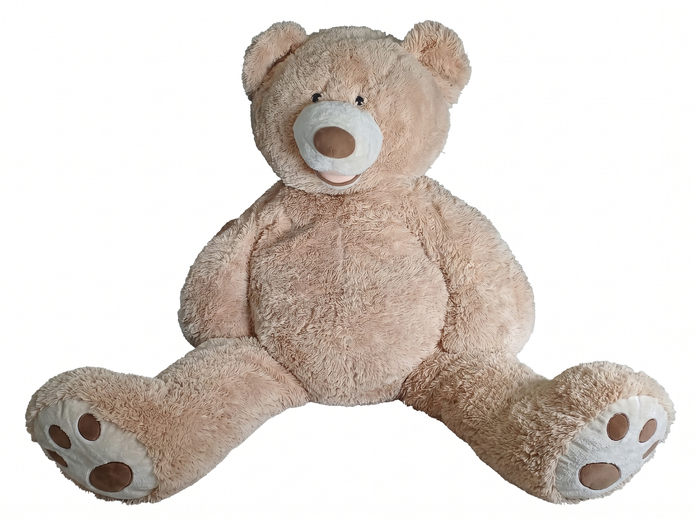 Giant Teddy